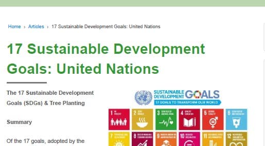 Sustainable Development Goal (SDG)